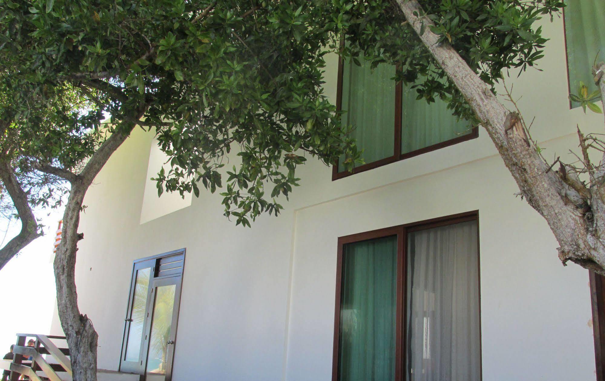 Cormorant Beach House Bed and Breakfast Puerto Villamil Εξωτερικό φωτογραφία